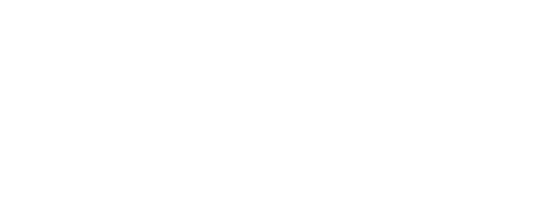 background spintweb logo at footer